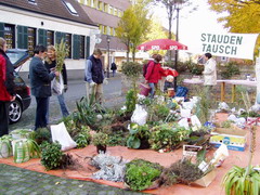 Auch für 2006 wünschen sich die Organisatoren eine so rege Teilnahme am Staudentausch.