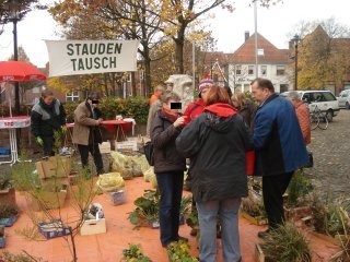 Beim SPD Staudentausch wird wieder jeder etwas finden.